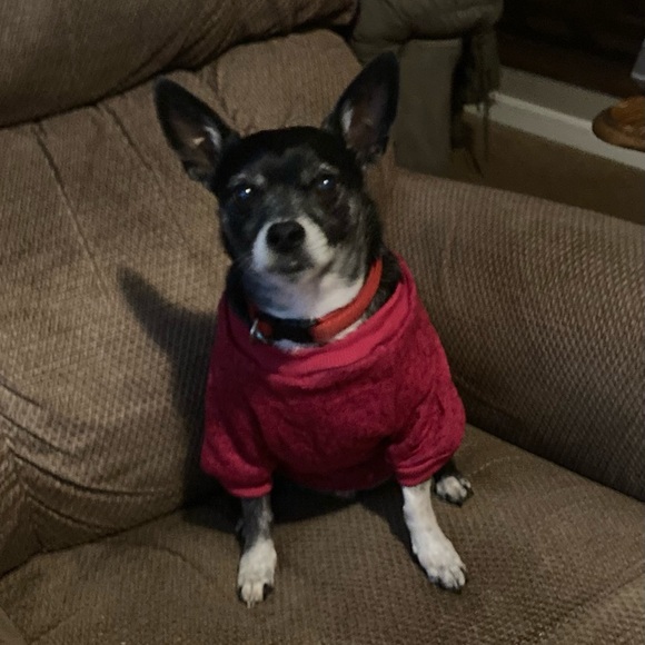 Meet your Posher, Wanda - Picture 3 of 3